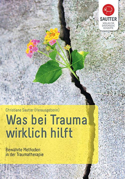 Was bei Trauma wirklich hilft